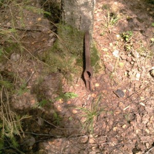 img_178642_37239.jpeg