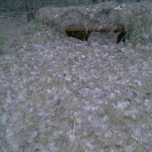 img_178647_37239.jpeg