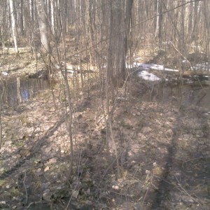 img_178659_37239.jpeg