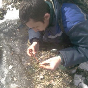 img_178679_37239.jpeg