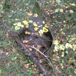 img_178687_37239.jpeg
