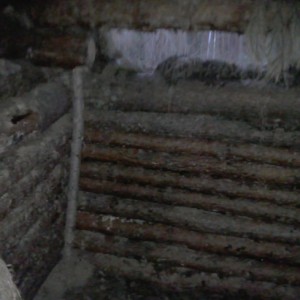 img_178699_37239.jpeg