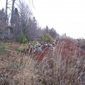 img_180553_40872.jpg