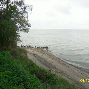 img_188469_21149.jpg