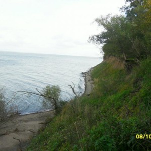 img_188470_21149.jpg