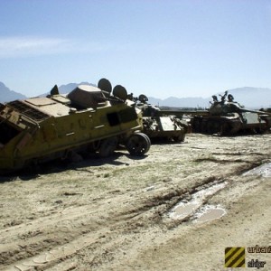 img_194774_43254.jpg