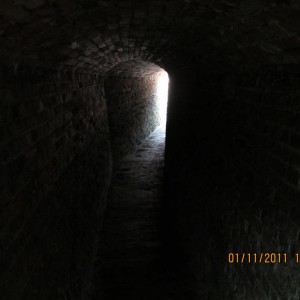 img_195818_15456.jpg