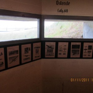 img_195877_15456.jpg