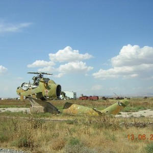 img_196013_43254.jpg