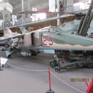 img_198037_15456.jpg