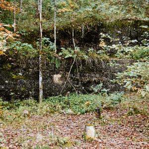 img_200324_1.jpg