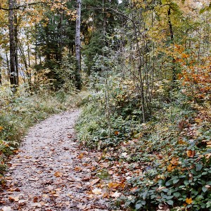 img_200330_1.jpg
