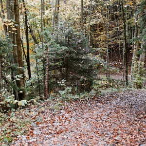 img_200334_1.jpg