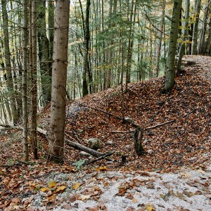 img_200342_1.jpg