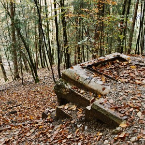 img_200345_1.jpg