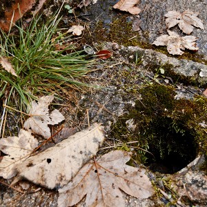 img_200353_1.jpg