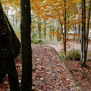 img_200355_1.jpg