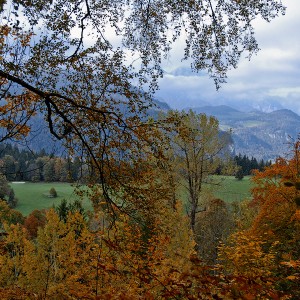 img_200358_1.jpg