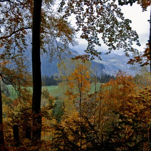 img_200361_1.jpg