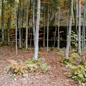 img_200363_1.jpg