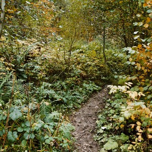 img_200367_1.jpg