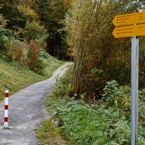 img_200368_1.jpg