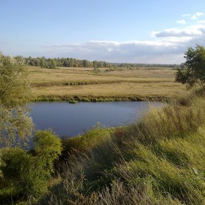 img_201341_10562.jpg