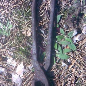 img_201786_47543.jpg
