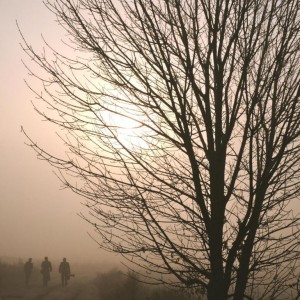 img_202004_32259.jpg