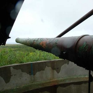 img_203424_47644.jpg