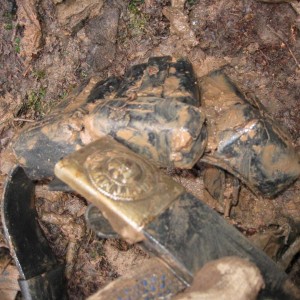 img_206816_47251.jpg