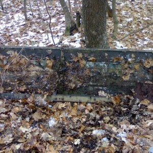 img_208446_40041.jpg
