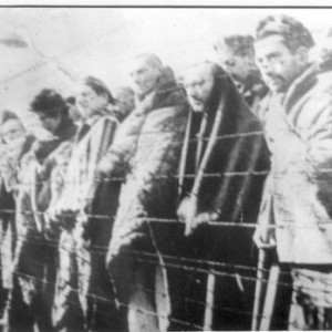 Кировоград. 1941 - 1944.