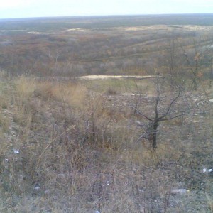 img_215341_48678.jpg