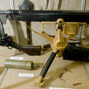 img_223985_1.jpg