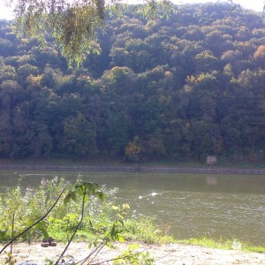 img_224663_38563.jpg