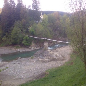 img_224664_38563.jpg