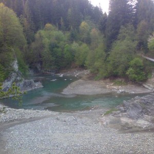 img_224665_38563.jpg