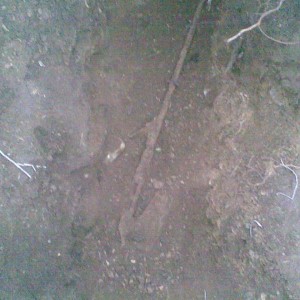 img_225085_42369.jpg