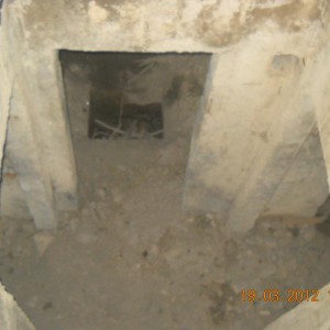 img_239875_31789.jpg