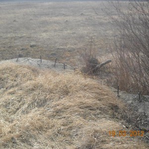 img_239881_31789.jpg