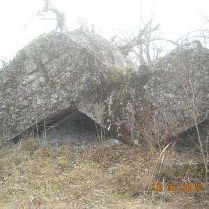 img_239883_31789.jpg
