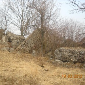 img_239886_31789.jpg