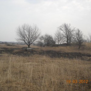 img_239887_31789.jpg