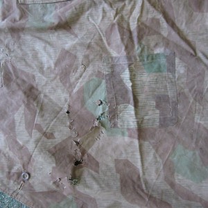 img_241740_54.jpg