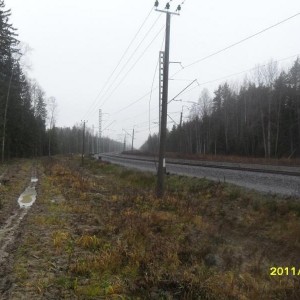 img_242885_8891.jpg