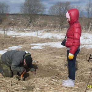 img_245778_8891.jpg