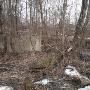 img_249062_7575.jpg