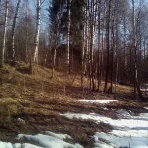 img_249519_8891.jpg