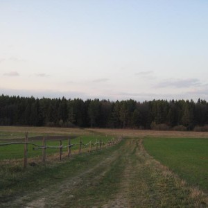 img_252213_11292.jpg